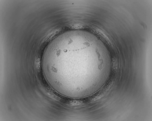 X0000112080549200908181244