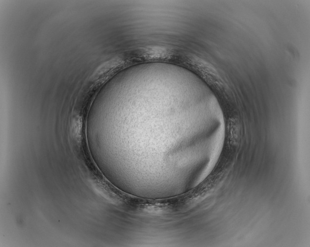 X0000112080550200908181244