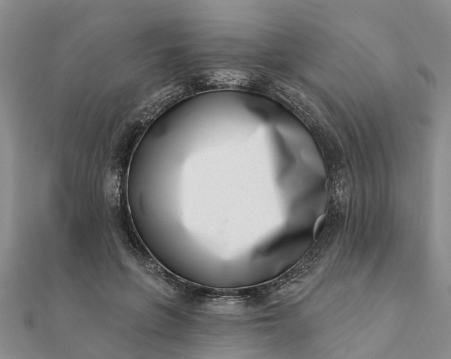 X0000112080551200908181244