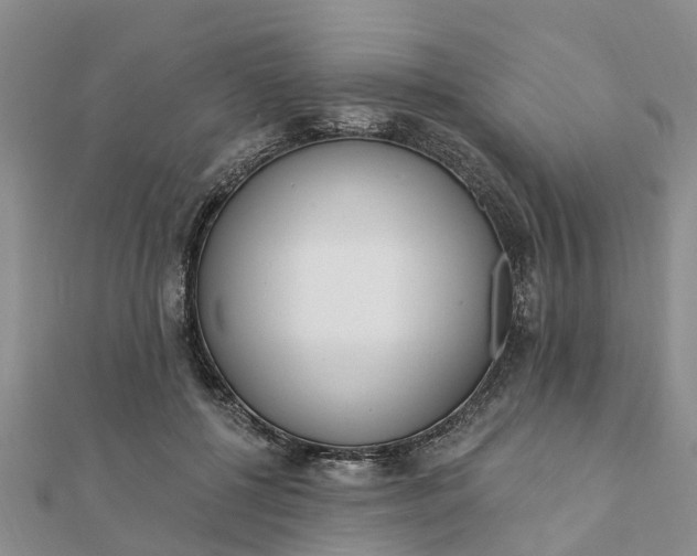 X0000112080552200908181244