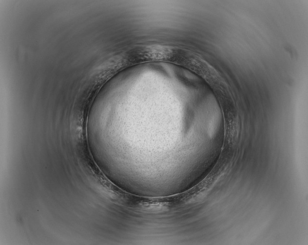 X0000112080553200908181244