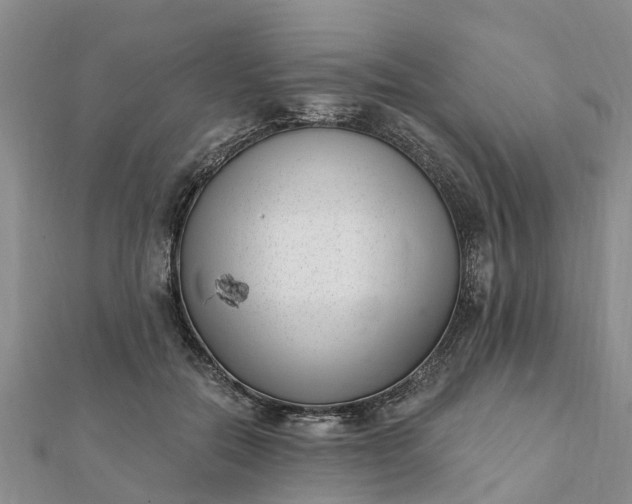 X0000112080554200908181244