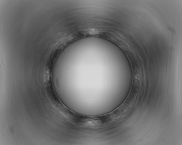 X0000112080555200908181244