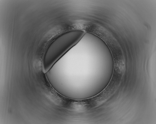 X0000112080556200908181244