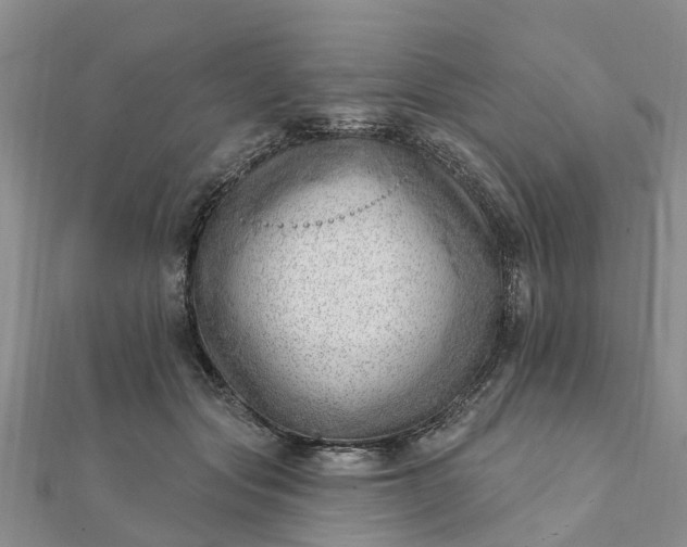 X0000112080557200908181244