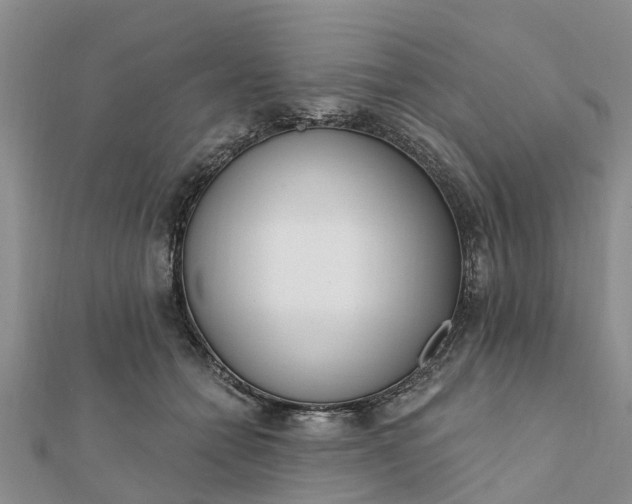 X0000112080558200908181244