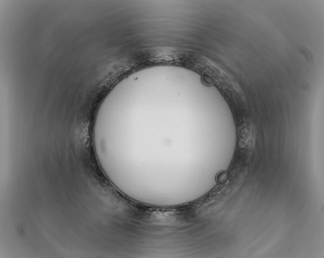 X0000112080560200908181244