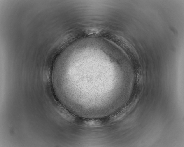 X0000112080561200908181244