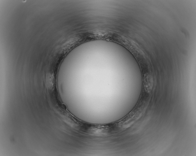 X0000112080563200908181244