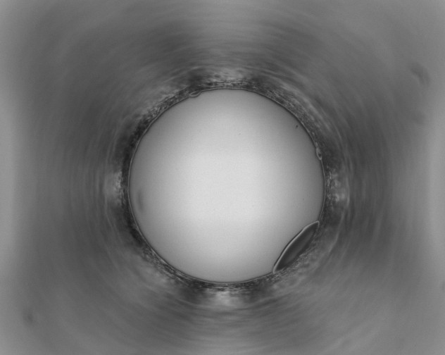 X0000112080564200908181244