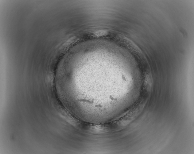 X0000112080565200908181244