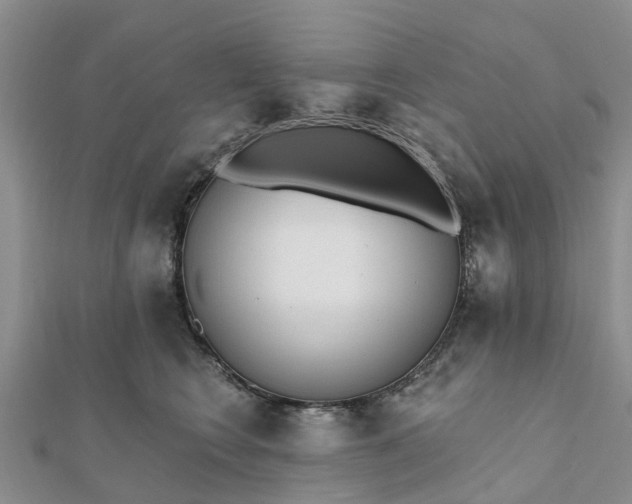 X0000112080566200908181244