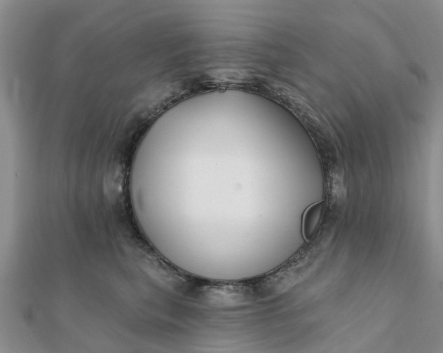 X0000112080567200908181244