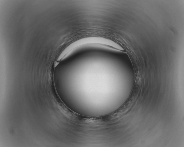 X0000112080568200908181244