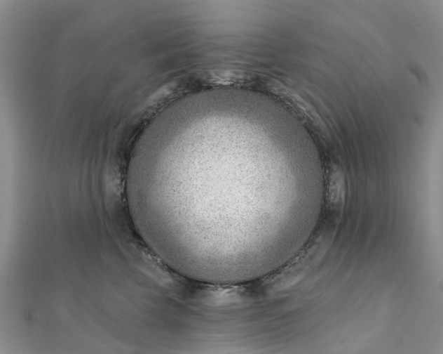 X0000112080569200908181244