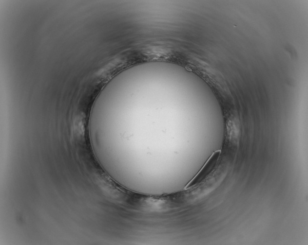 X0000112080570200908181244