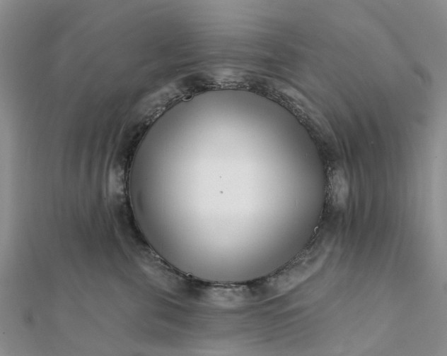 X0000112080571200908181244