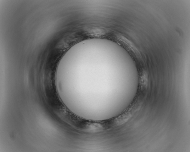 X0000112080572200908181244