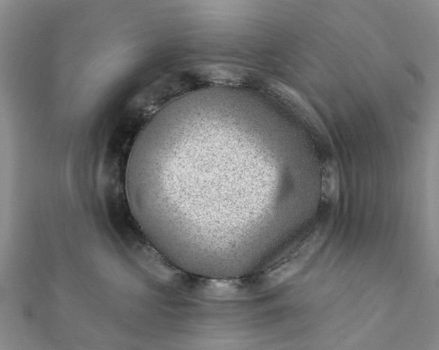 X0000112080573200908181244