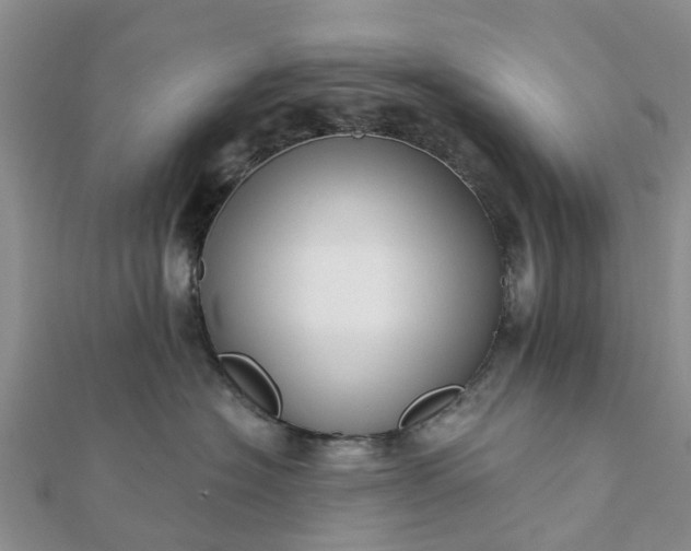 X0000112080574200908181244