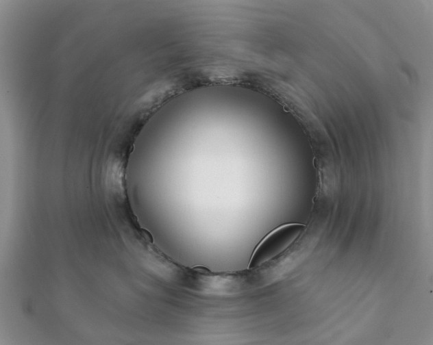 X0000112080575200908181244