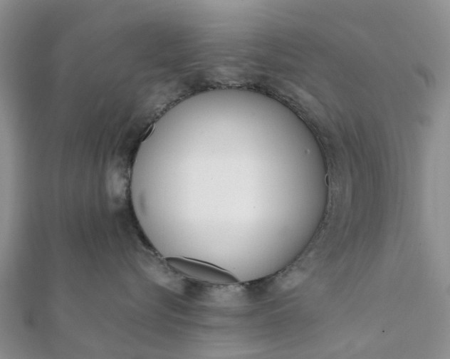 X0000112080576200908181244