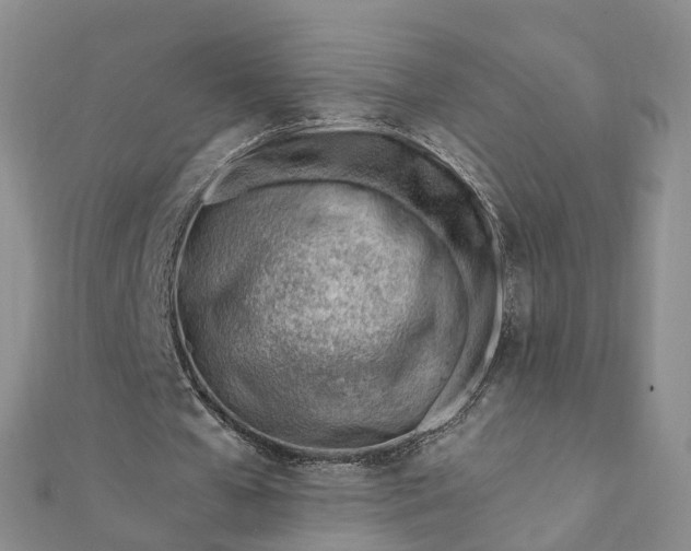 X0000112080577200908181244