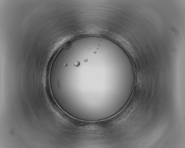 X0000112080578200908181244