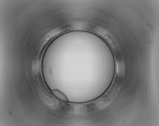 X0000112080579200908181244