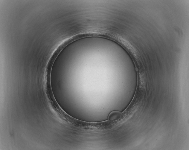 X0000112080580200908181244