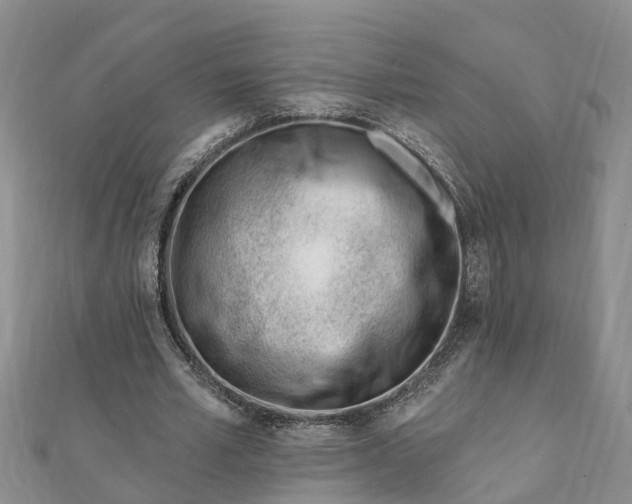 X0000112080581200908181244