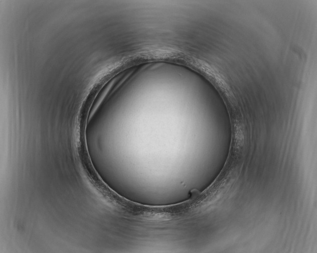 X0000112080582200908181244