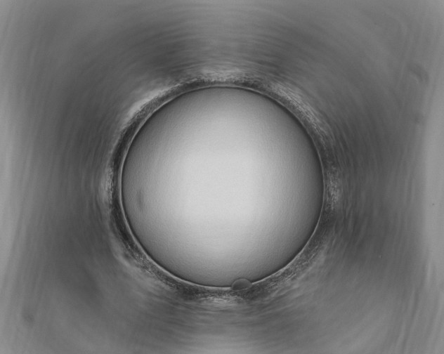 X0000112080583200908181244