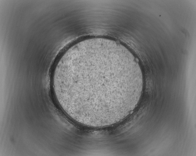 X0000112080584200908181244