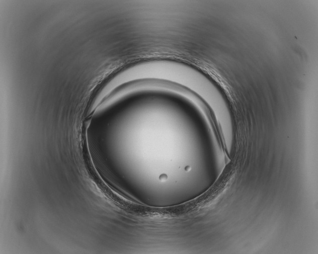 X0000112080585200908181244