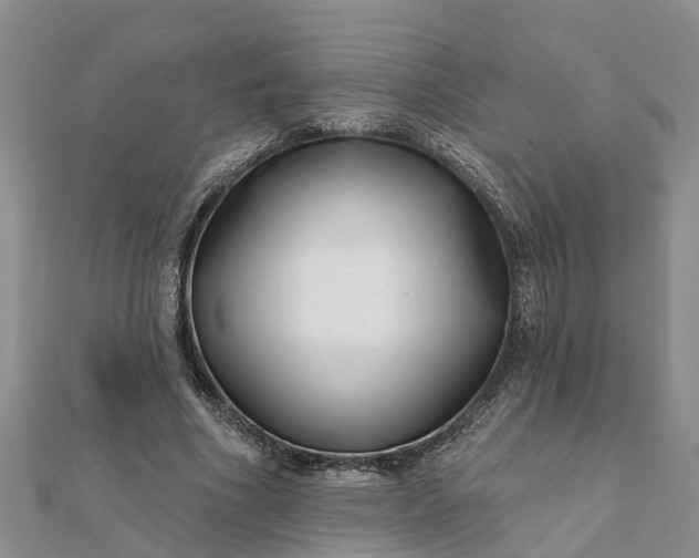 X0000112080586200908181244