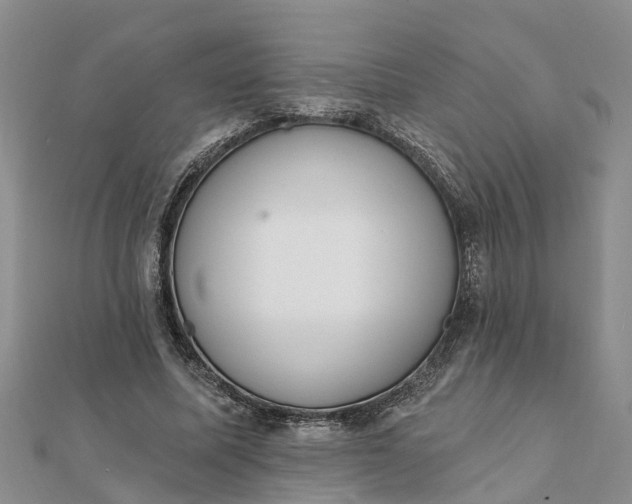 X0000112080587200908181244