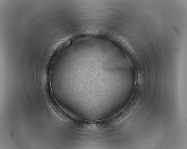 X0000112080588200908181244