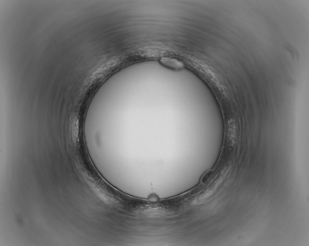 X0000112080589200908181244