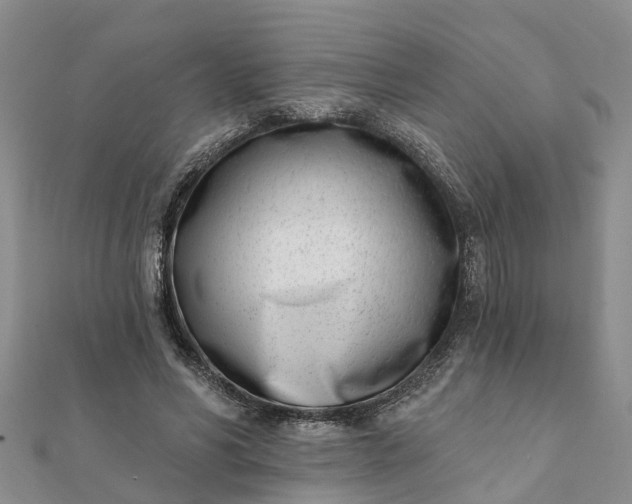 X0000112080590200908181244