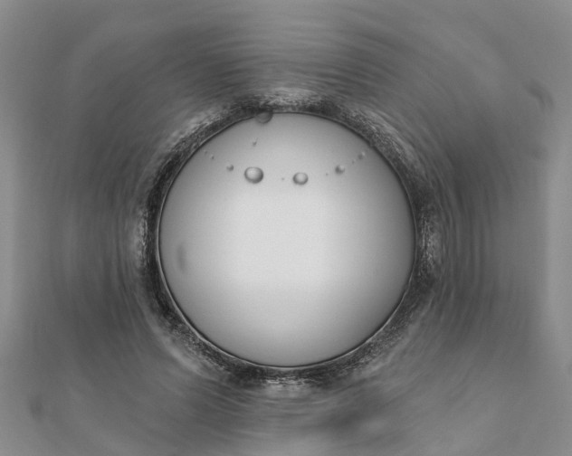 X0000112080591200908181244