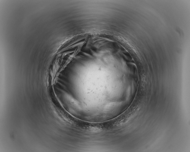 X0000112080592200908181244