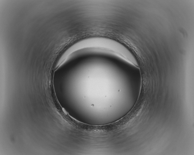 X0000112080593200908181243