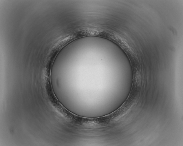 X0000112080594200908181243