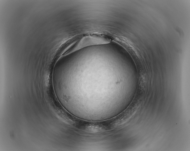 X0000112080596200908181243