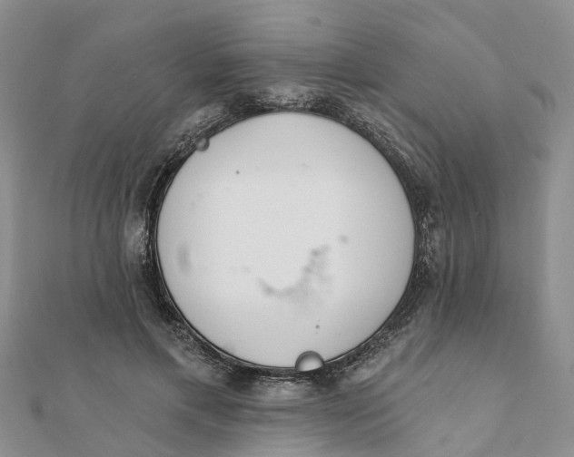 X0000112080597200908181243