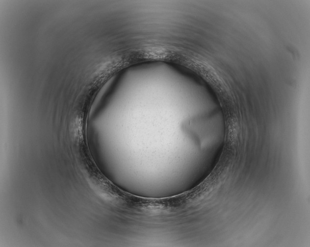 X0000112080598200908181243