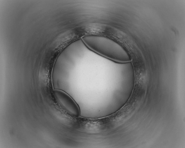 X0000112080599200908181243