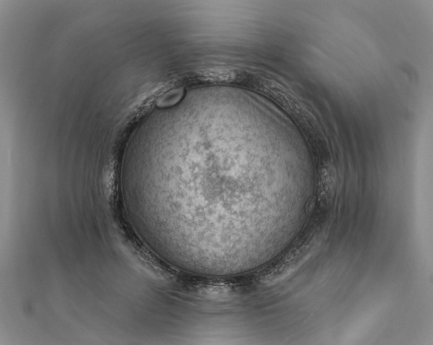 X0000112080600200908181243