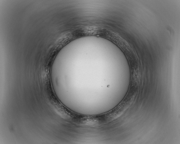 X0000112080601200908181243